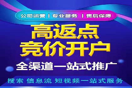 初学者的百度竞价推广：成功案例揭秘